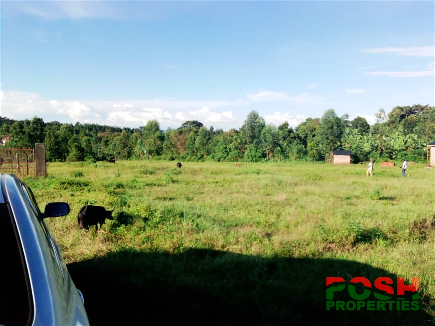 Residential Land for sale in Kigo Wakiso