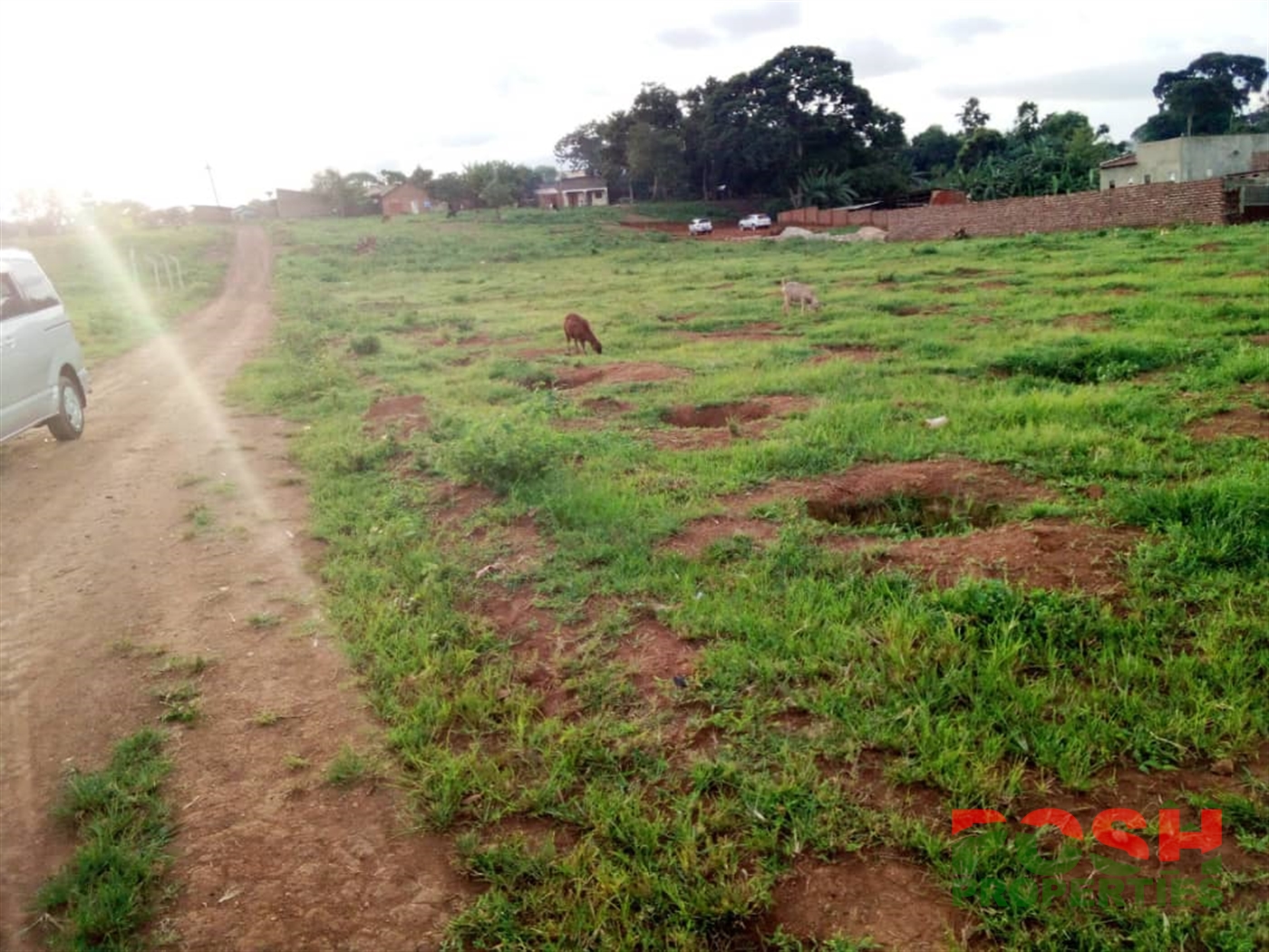 Residential Land for sale in Busaabala Wakiso