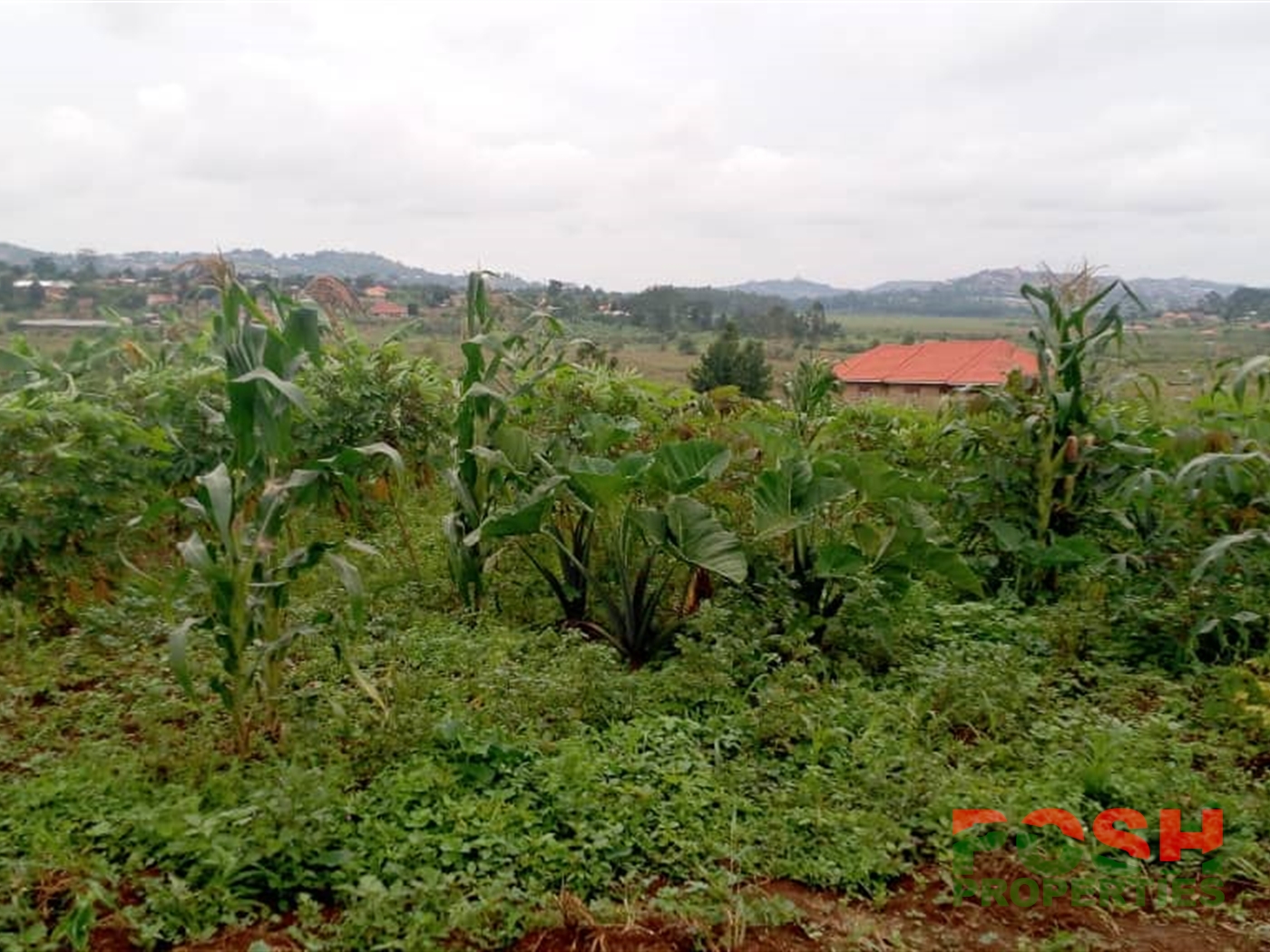 Multipurpose Land for sale in Kitende Wakiso