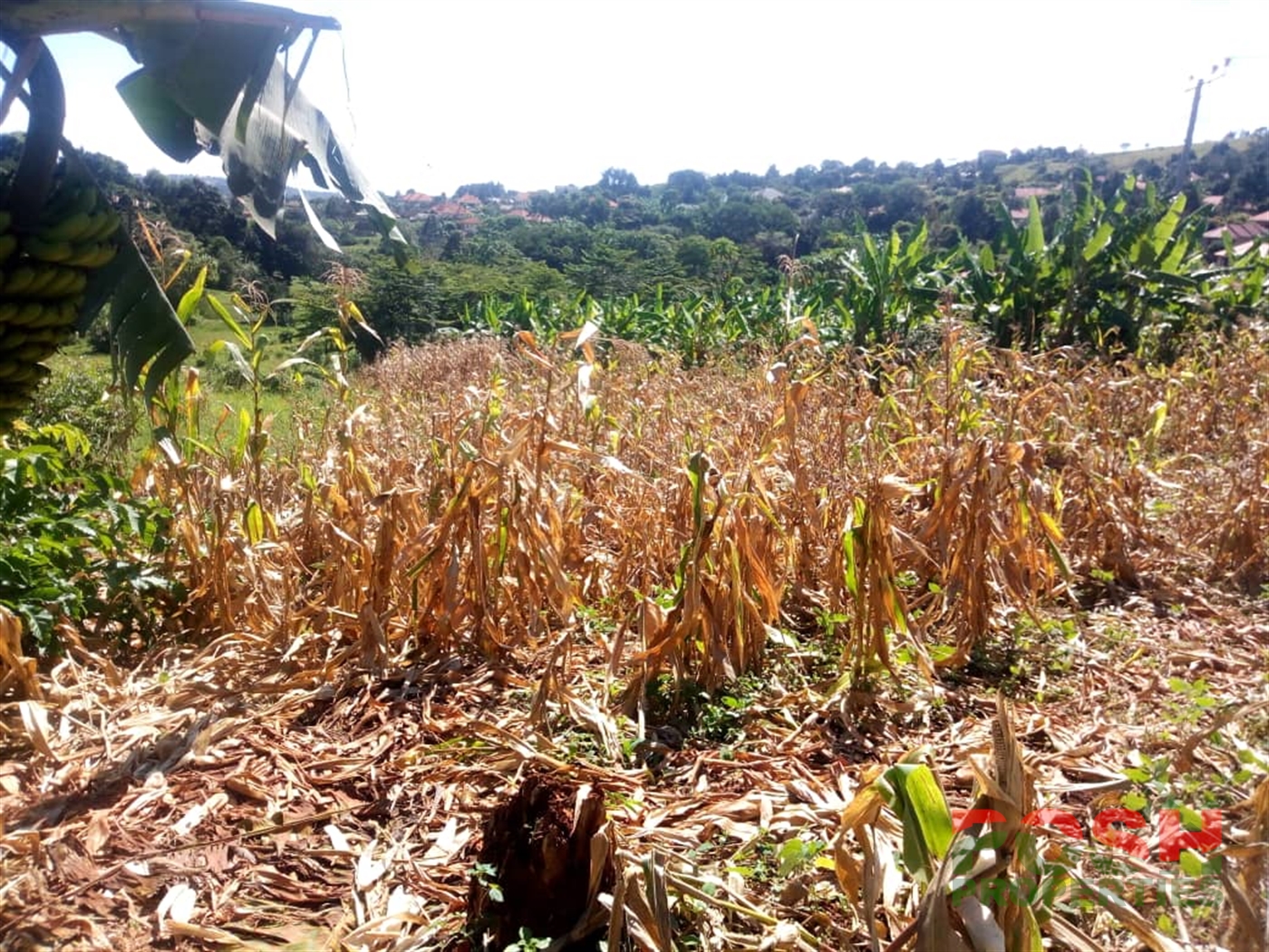 Residential Land for sale in Namulanda Wakiso