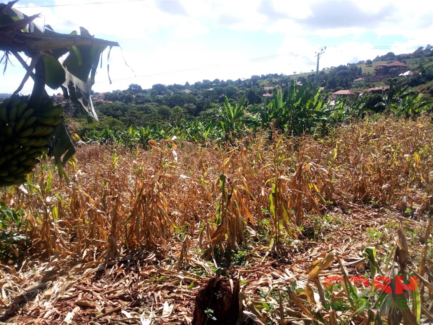 Residential Land for sale in Namulanda Wakiso