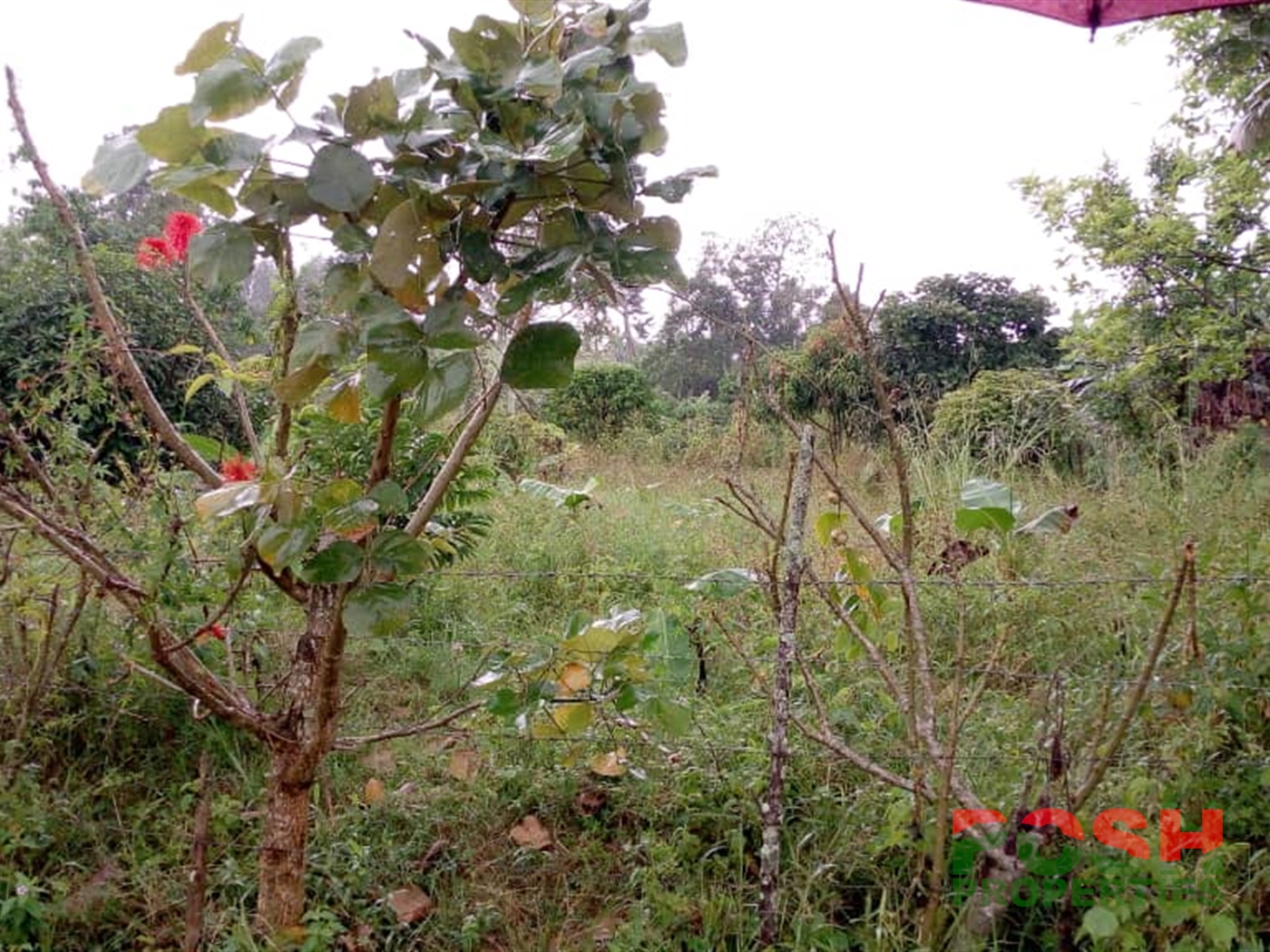 Residential Land for sale in Kasanjje Wakiso