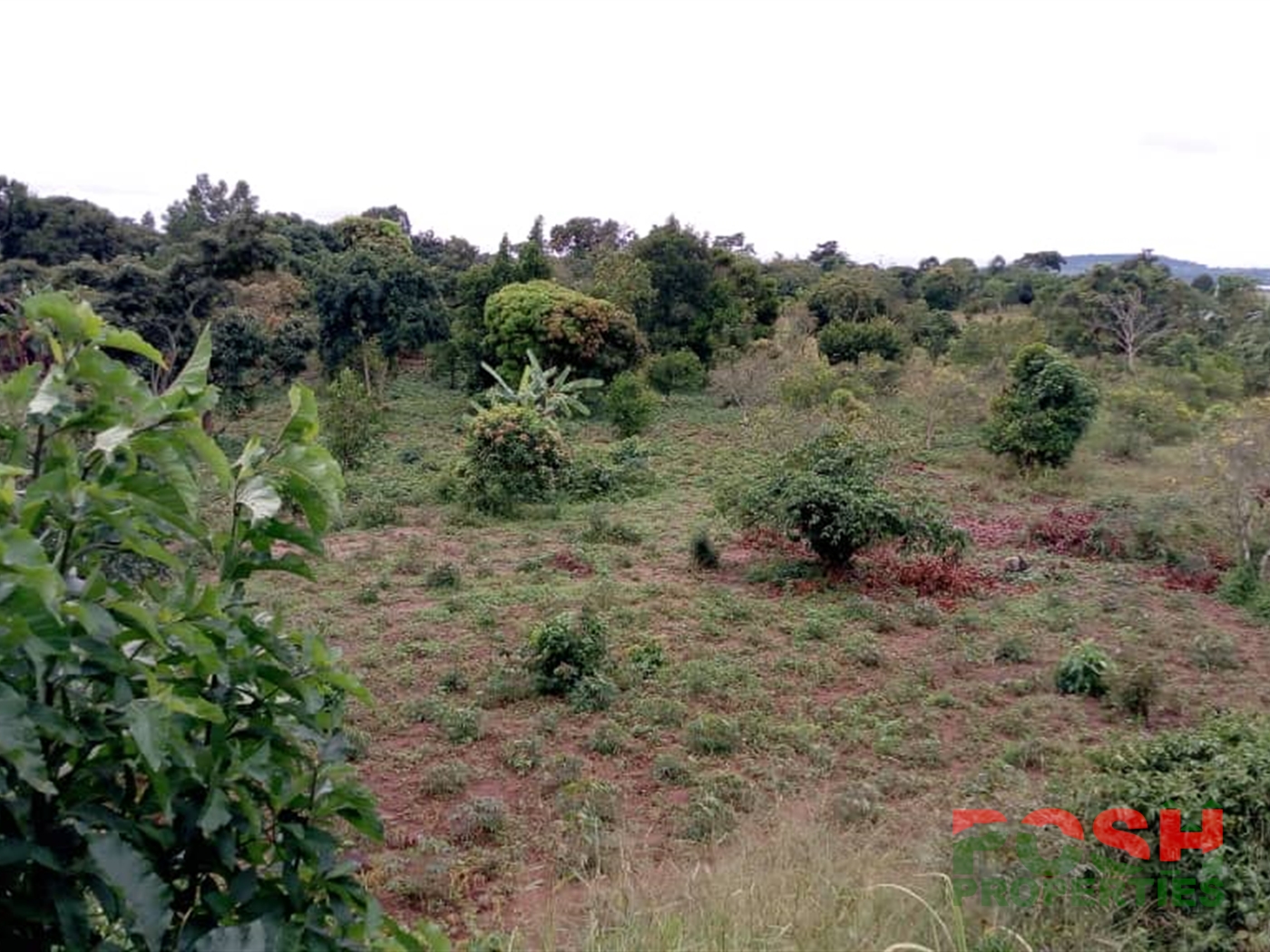 Residential Land for sale in Buwaye Wakiso