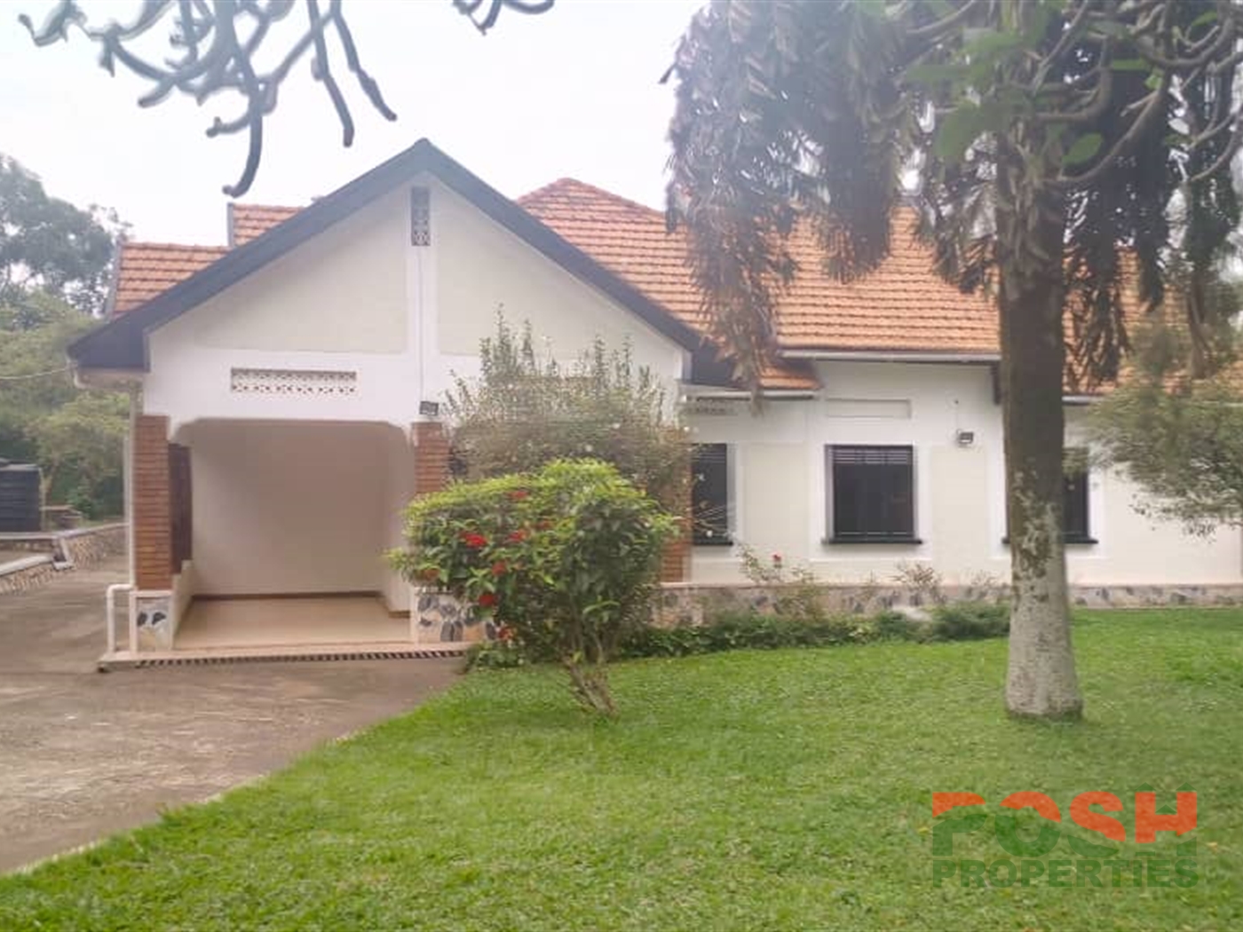 Bungalow for rent in Bugoloobi Kampala