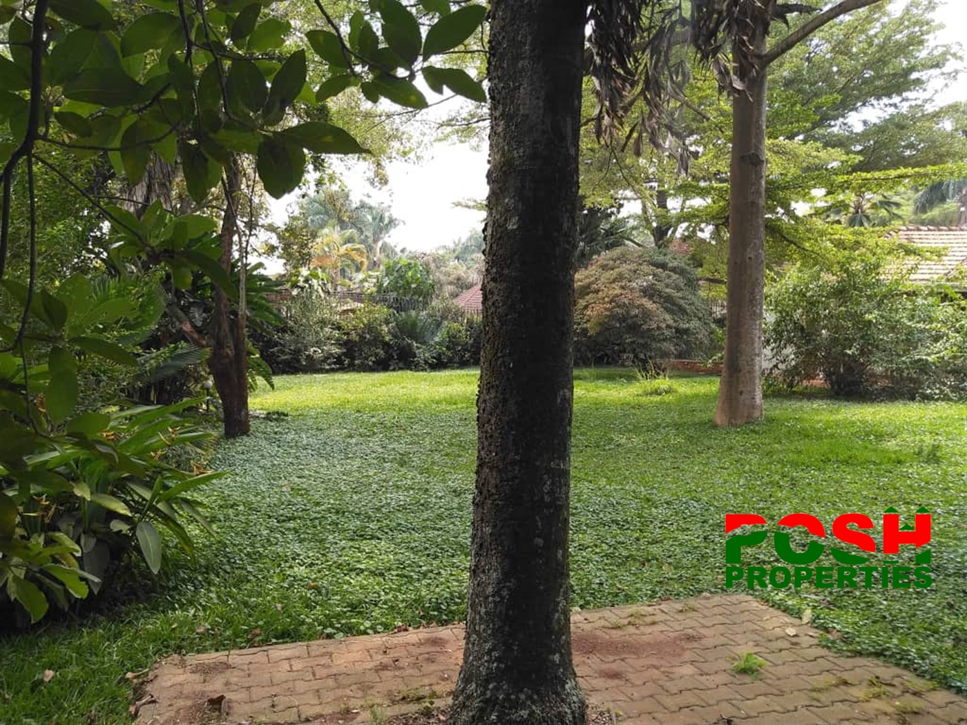 Bungalow for rent in Kololo Kampala