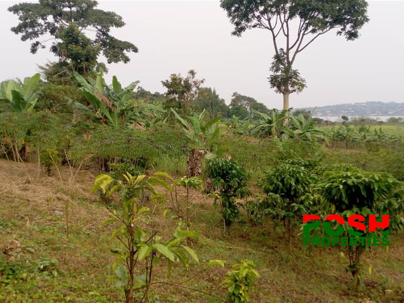 Residential Land for sale in Kasanjje Wakiso