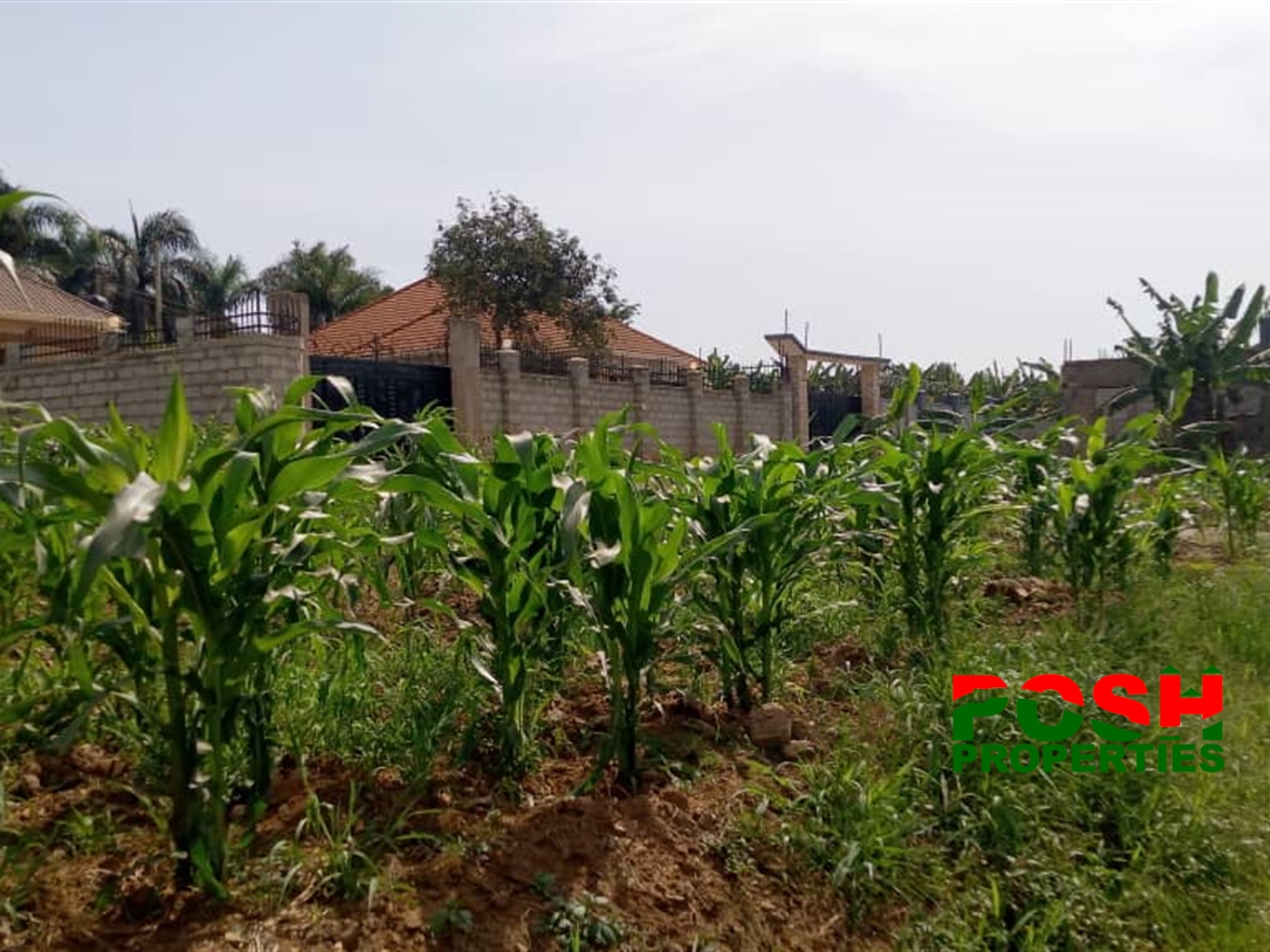 Residential Land for sale in Kyanja Kampala