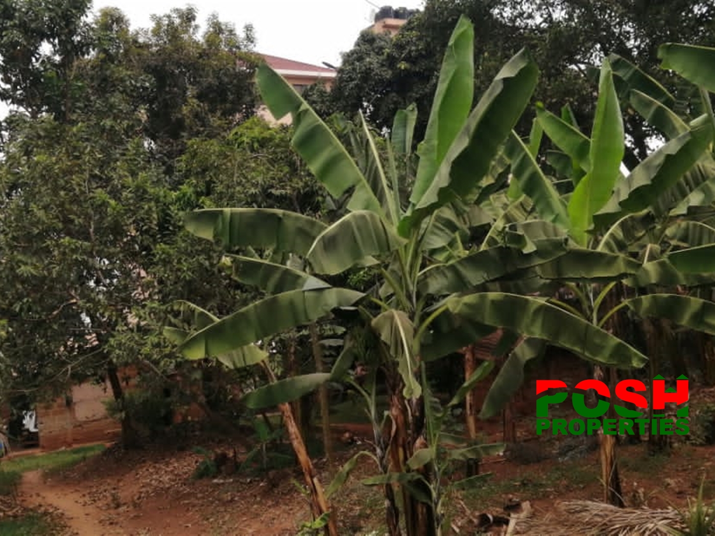 Residential Land for sale in Bukoto Kampala