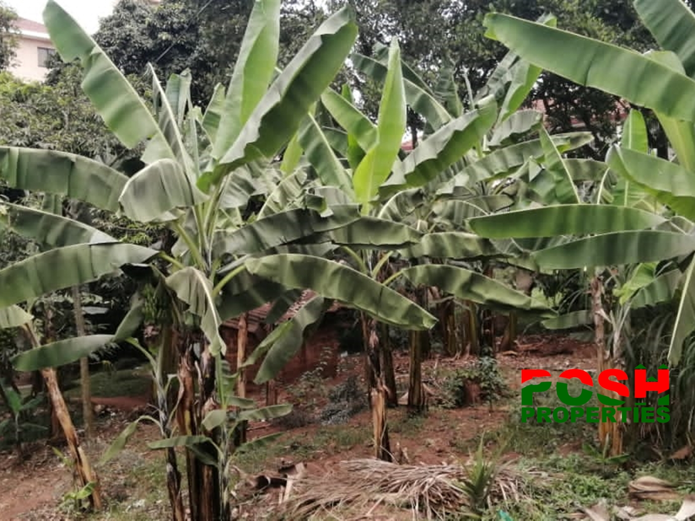 Residential Land for sale in Bukoto Kampala