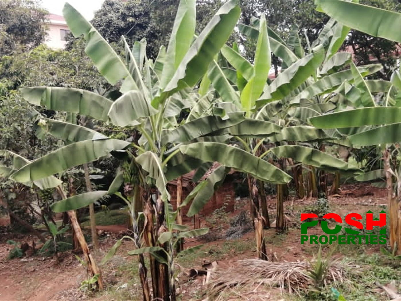 Residential Land for sale in Bukoto Kampala