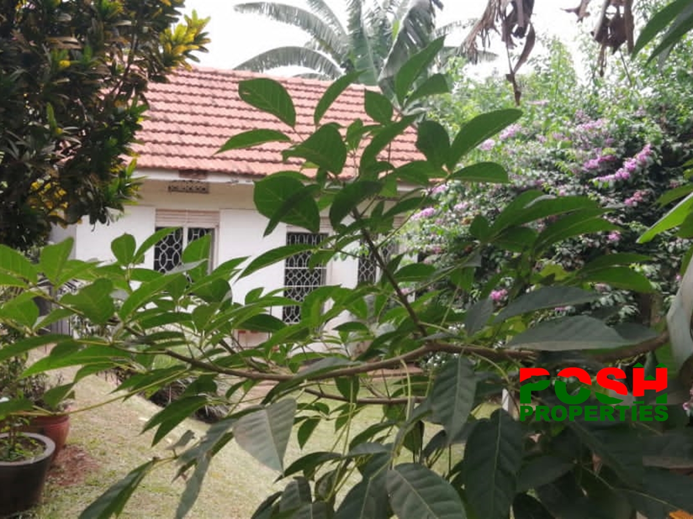 Bungalow for sale in Naguru Kampala