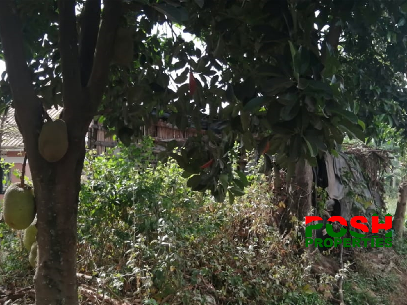 Residential Land for sale in Bukoto Wakiso