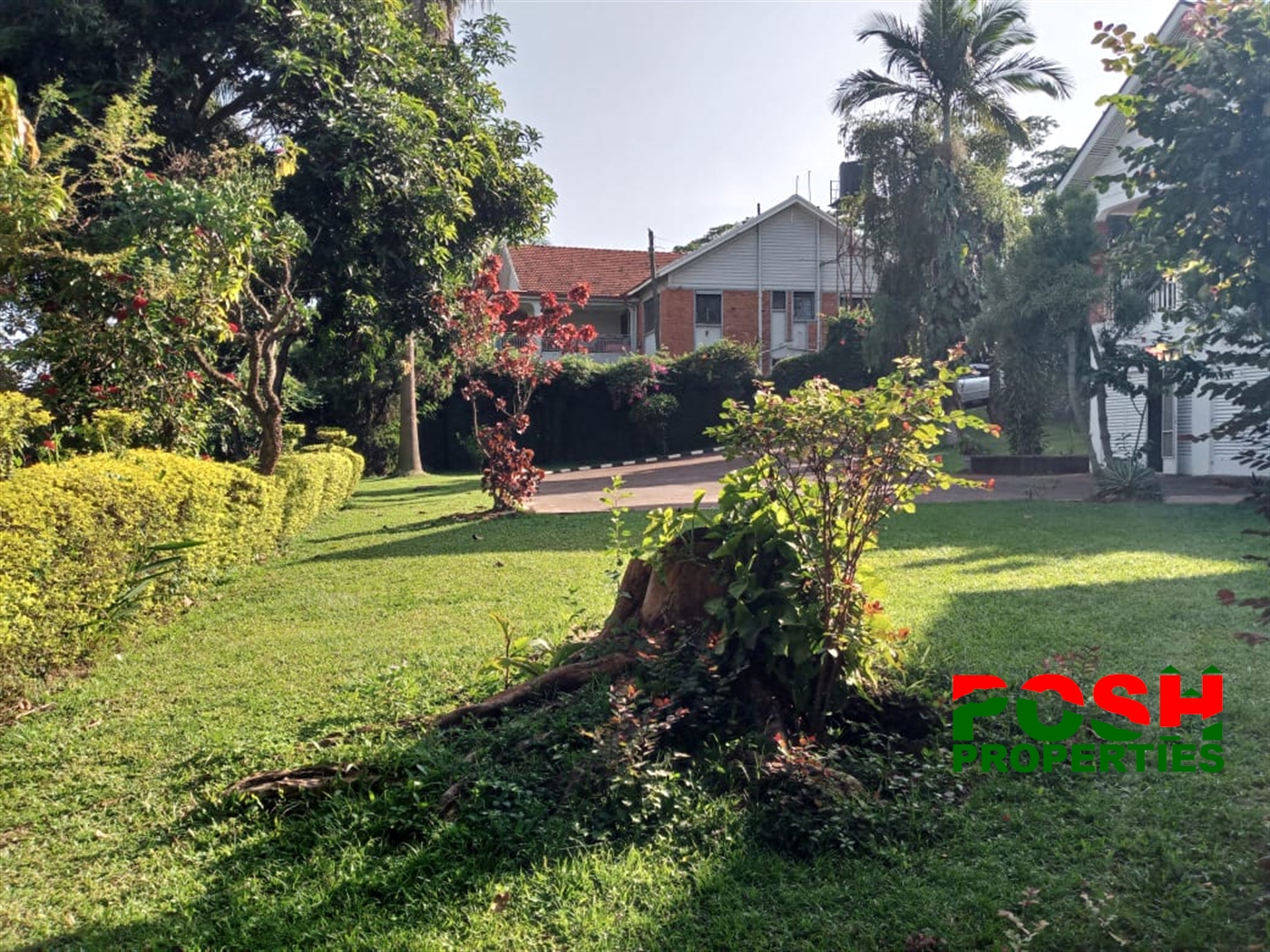 Mansion for rent in Naguru Kampala