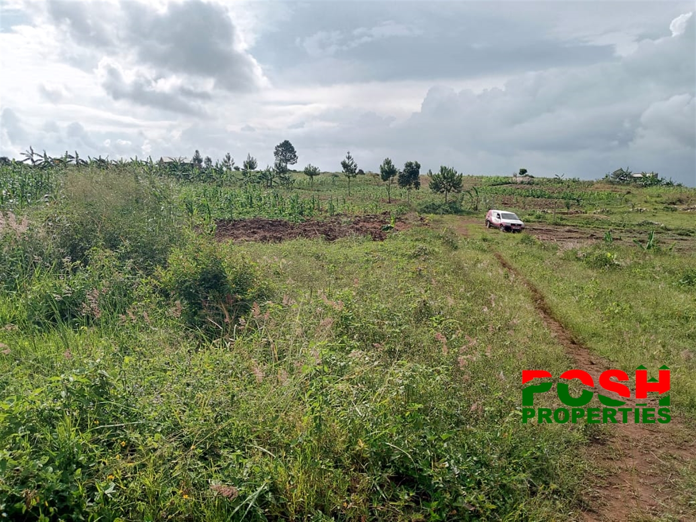 Residential Land for sale in Kitovu Wakiso