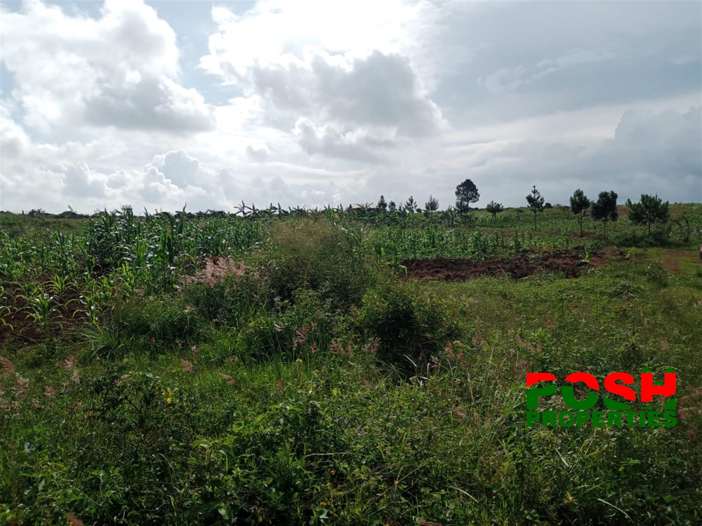 Residential Land for sale in Kitovu Wakiso