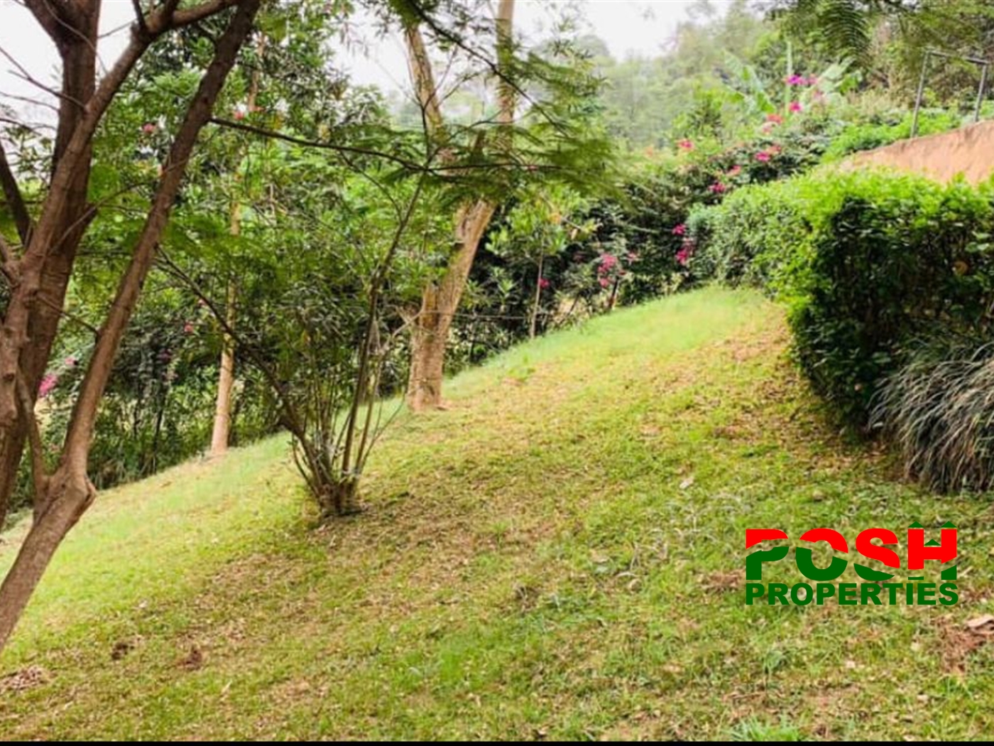 Bungalow for sale in Buziga Kampala