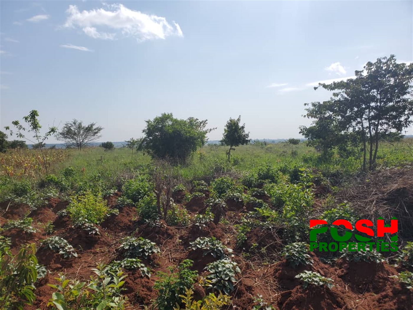 Agricultural Land for sale in Kikyuusa Luweero