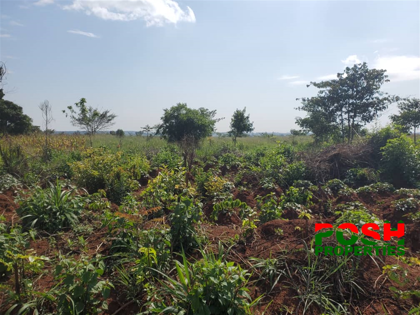 Agricultural Land for sale in Kikyuusa Luweero