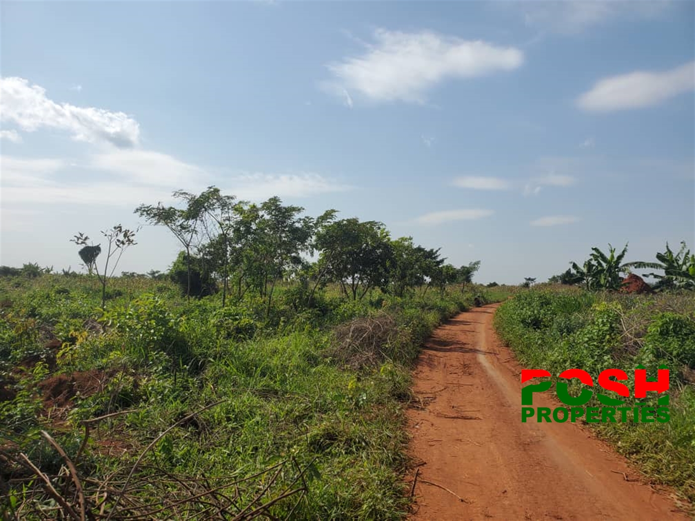 Agricultural Land for sale in Kikyuusa Luweero