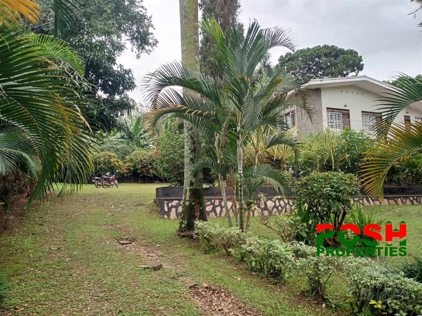 Mansion for rent in Muyenga Kampala