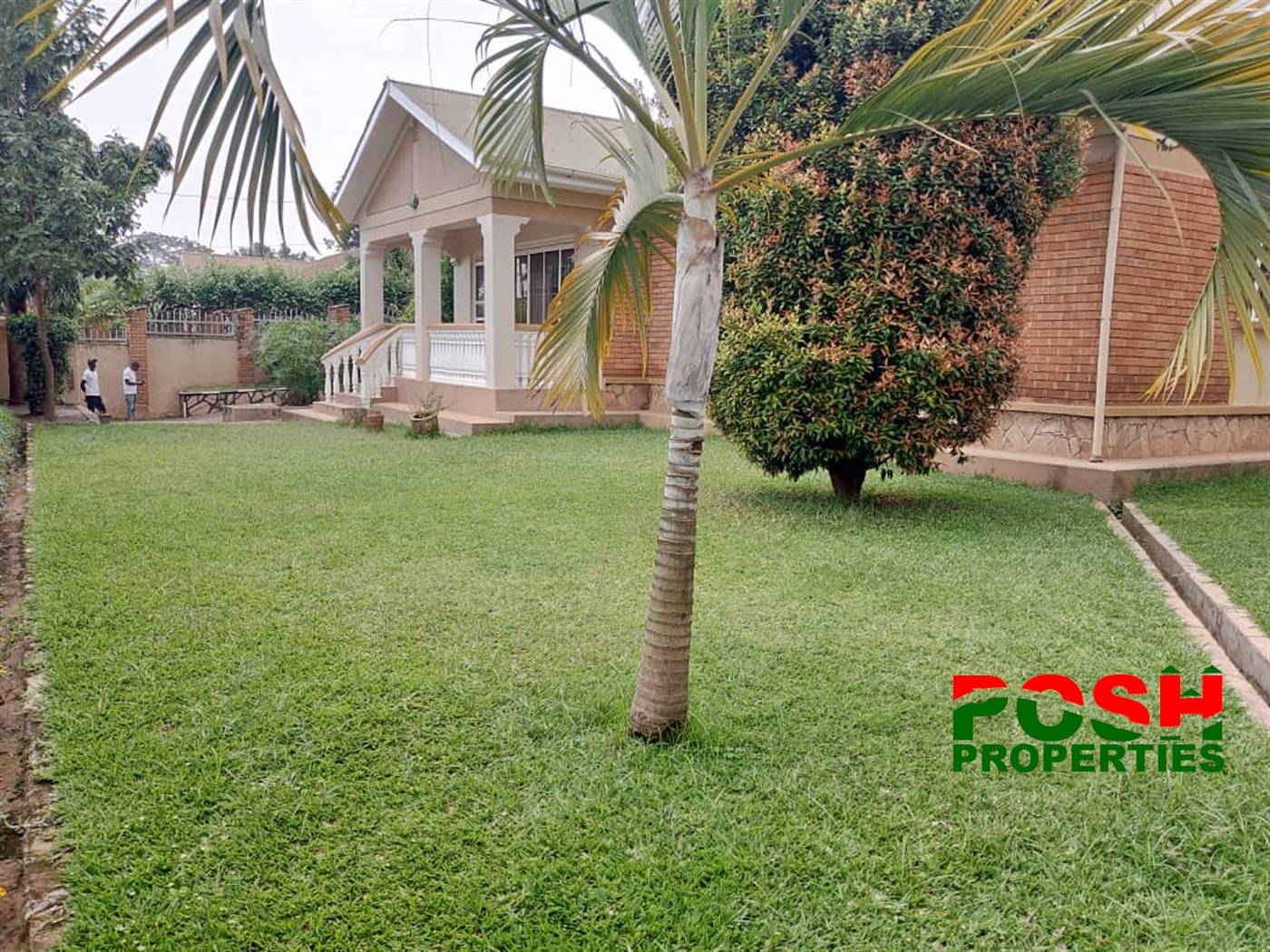 Bungalow for rent in Bukoto Kampala