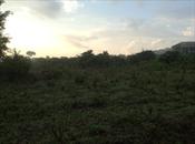 Residential Land for sale in Kitende Wakiso