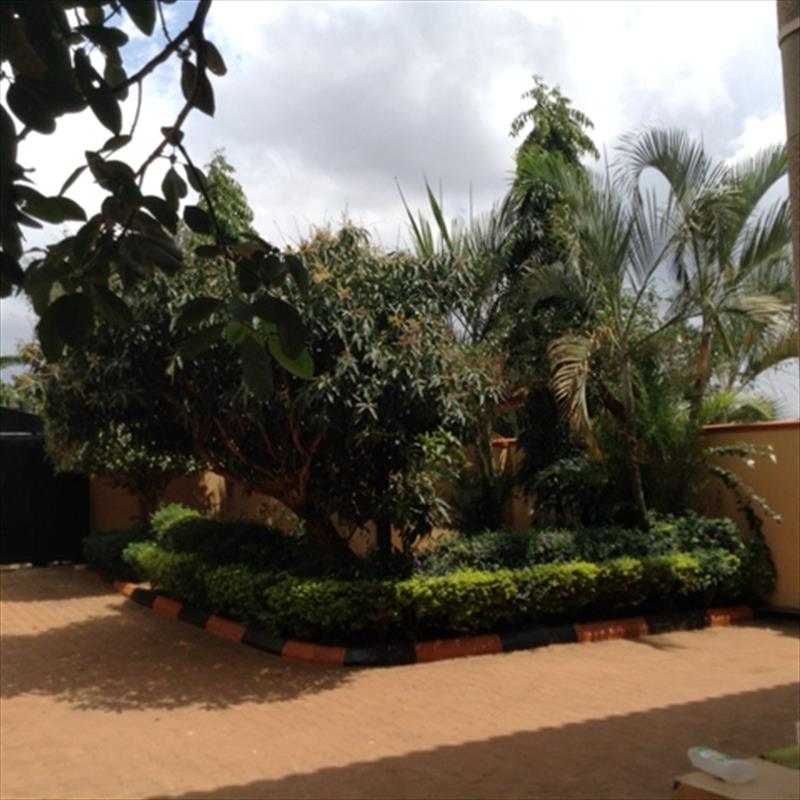 Mansion for rent in Muyenga Kampala