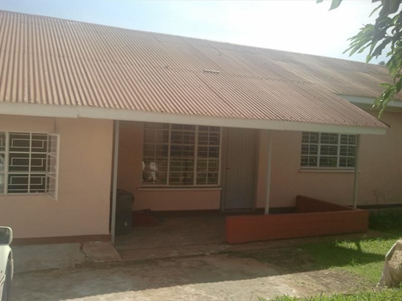 Bungalow for rent in Nsambya Kampala