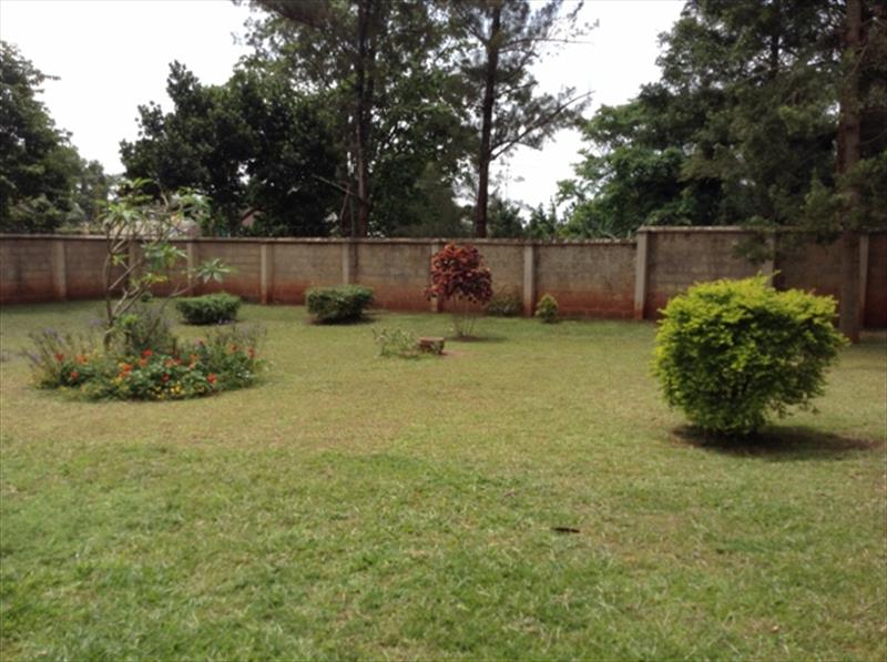 Mansion for rent in Kololo Kampala