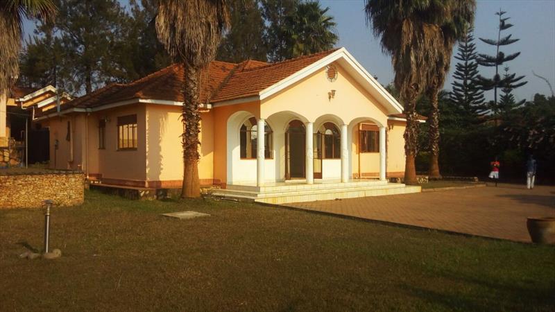 Bungalow for rent in Lubowa Wakiso