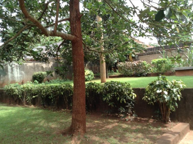 Mansion for rent in Kololo Kampala