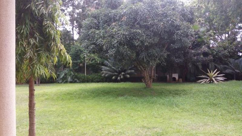 Bungalow for rent in Luzira Kampala