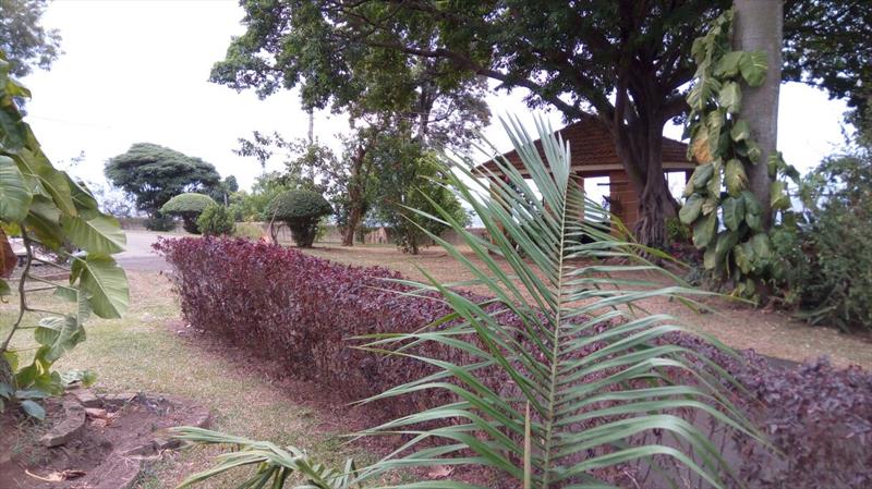 Bungalow for rent in Mutungo Kampala