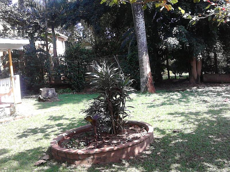 Apartment for rent in Naguru Kampala