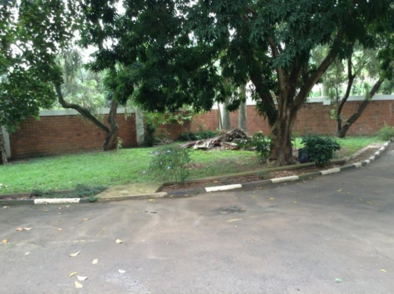 Mansion for rent in Kololo Kampala