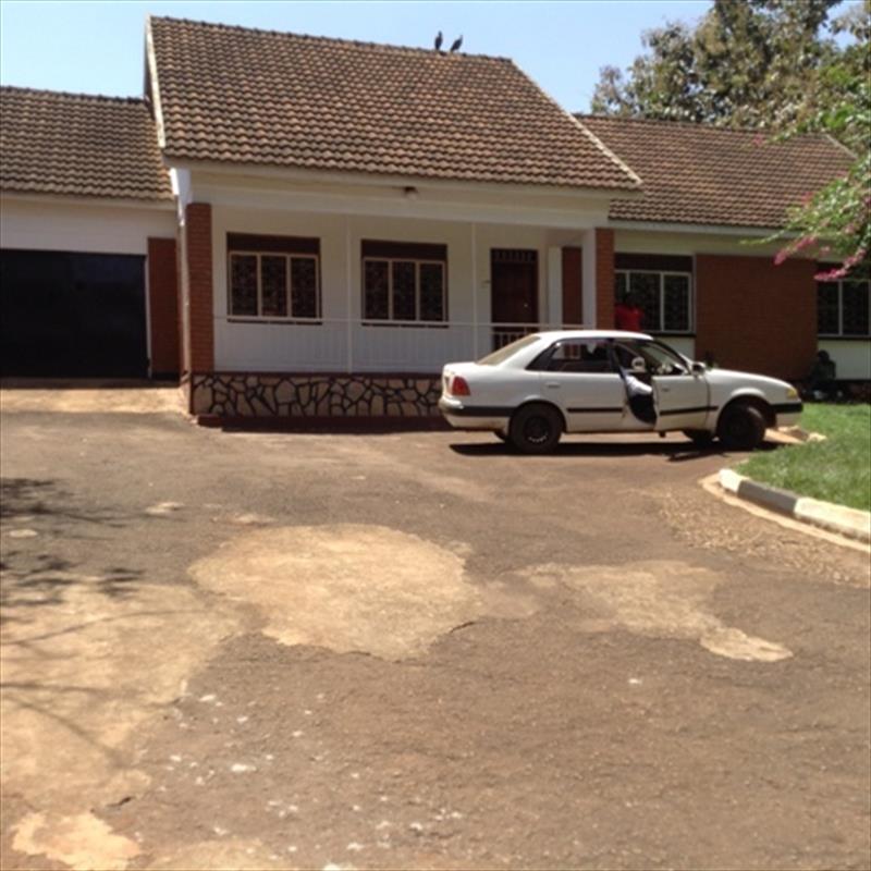 Bungalow for rent in Kansanga Kampala