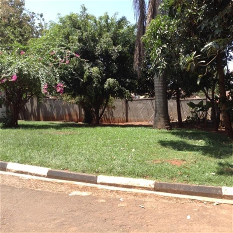 Bungalow for rent in Kansanga Kampala