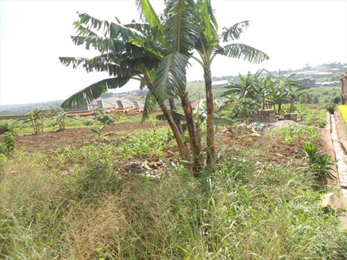 Residential Land for sale in Naalya Kampala