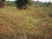 Residential Land for sale in Garuga Wakiso