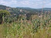 Residential Land for sale in Namulanda Wakiso