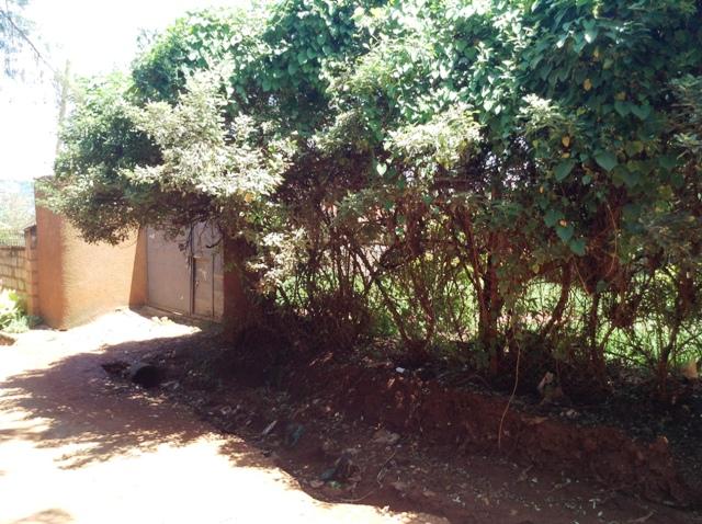 Residential Land for sale in Kansanga Kampala