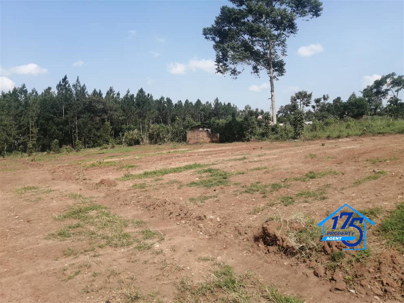 Residential Land for sale in Gayaza Wakiso