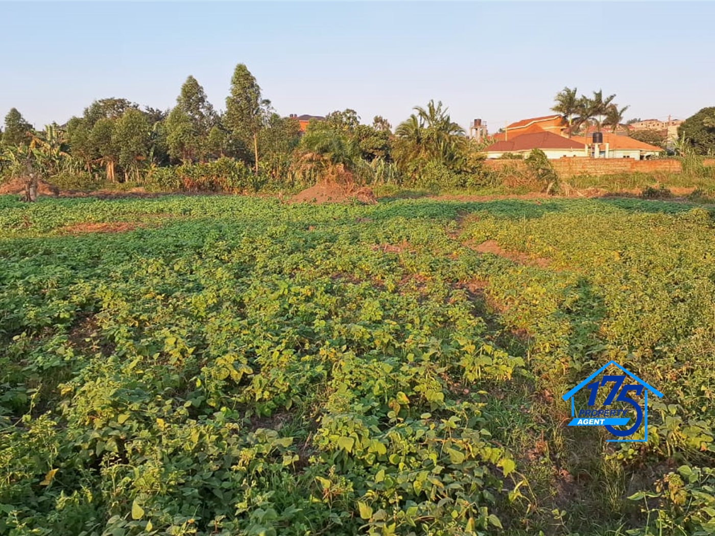 Residential Land for sale in Kira Wakiso