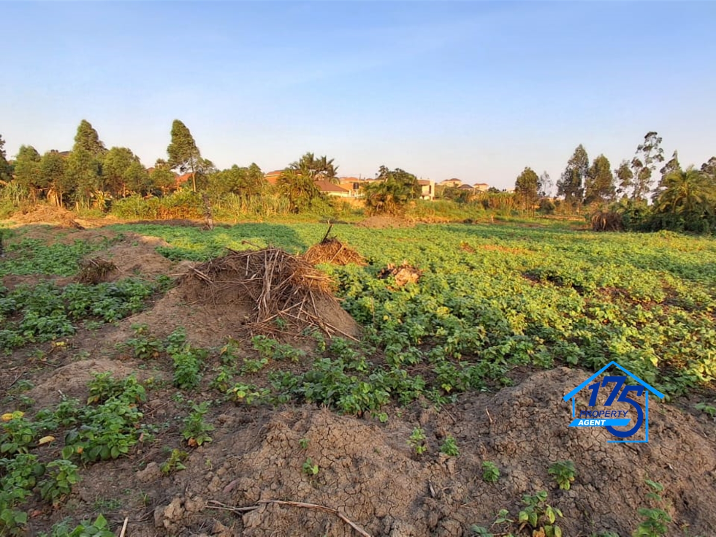 Residential Land for sale in Kira Wakiso