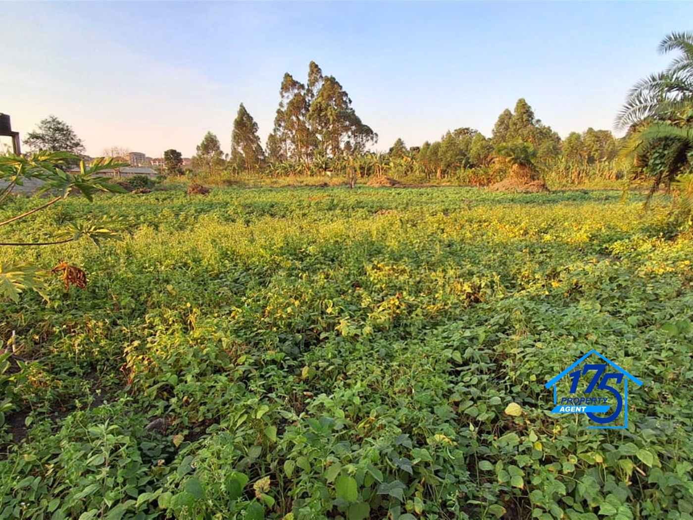 Residential Land for sale in Kira Wakiso