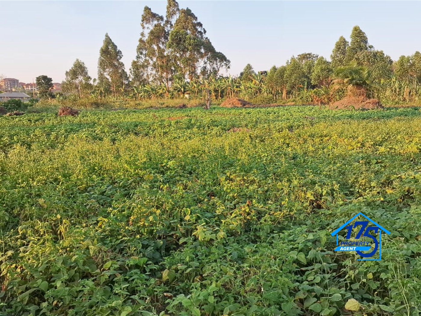 Residential Land for sale in Kira Wakiso