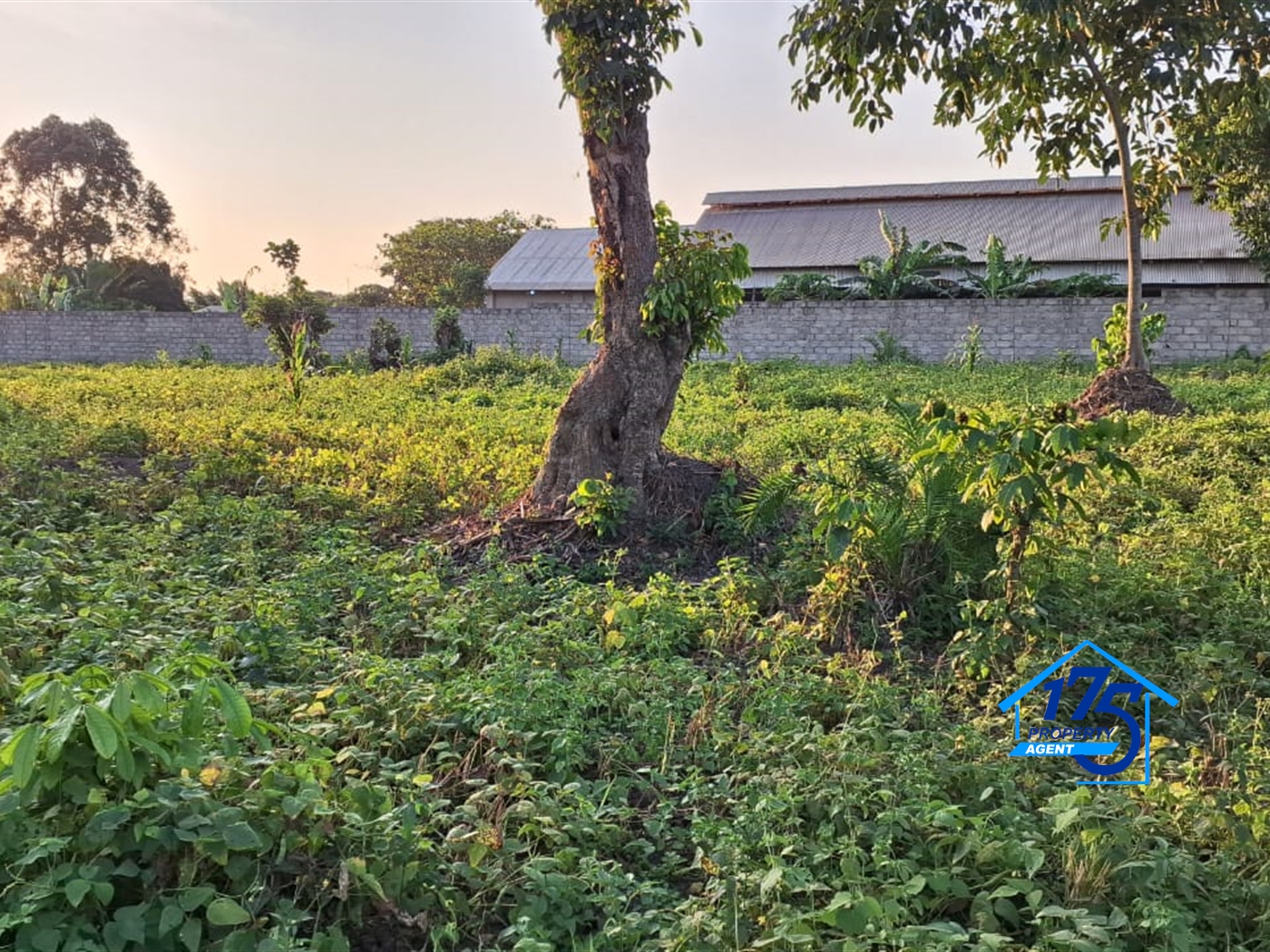 Residential Land for sale in Kira Wakiso