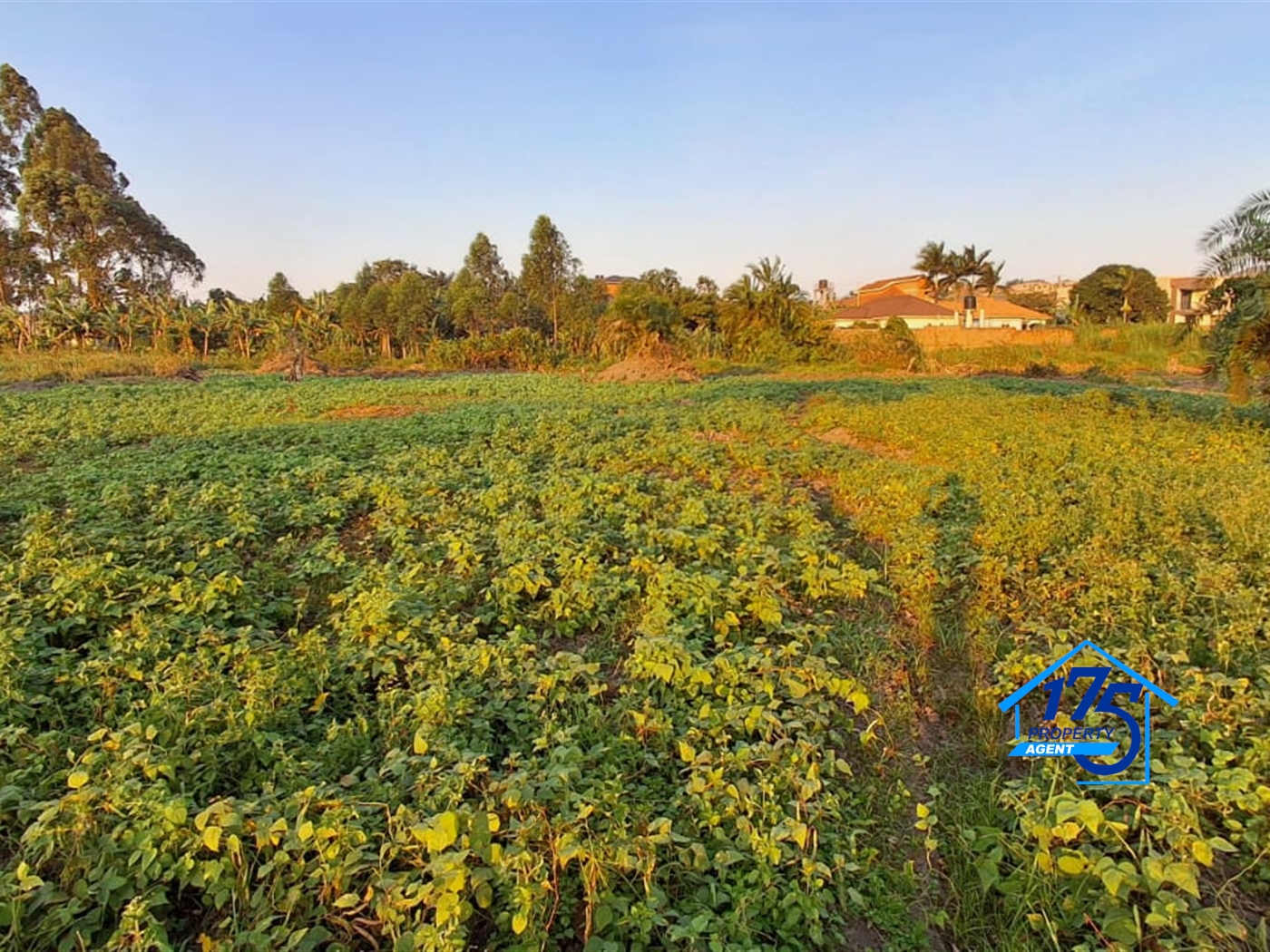 Residential Land for sale in Kira Wakiso