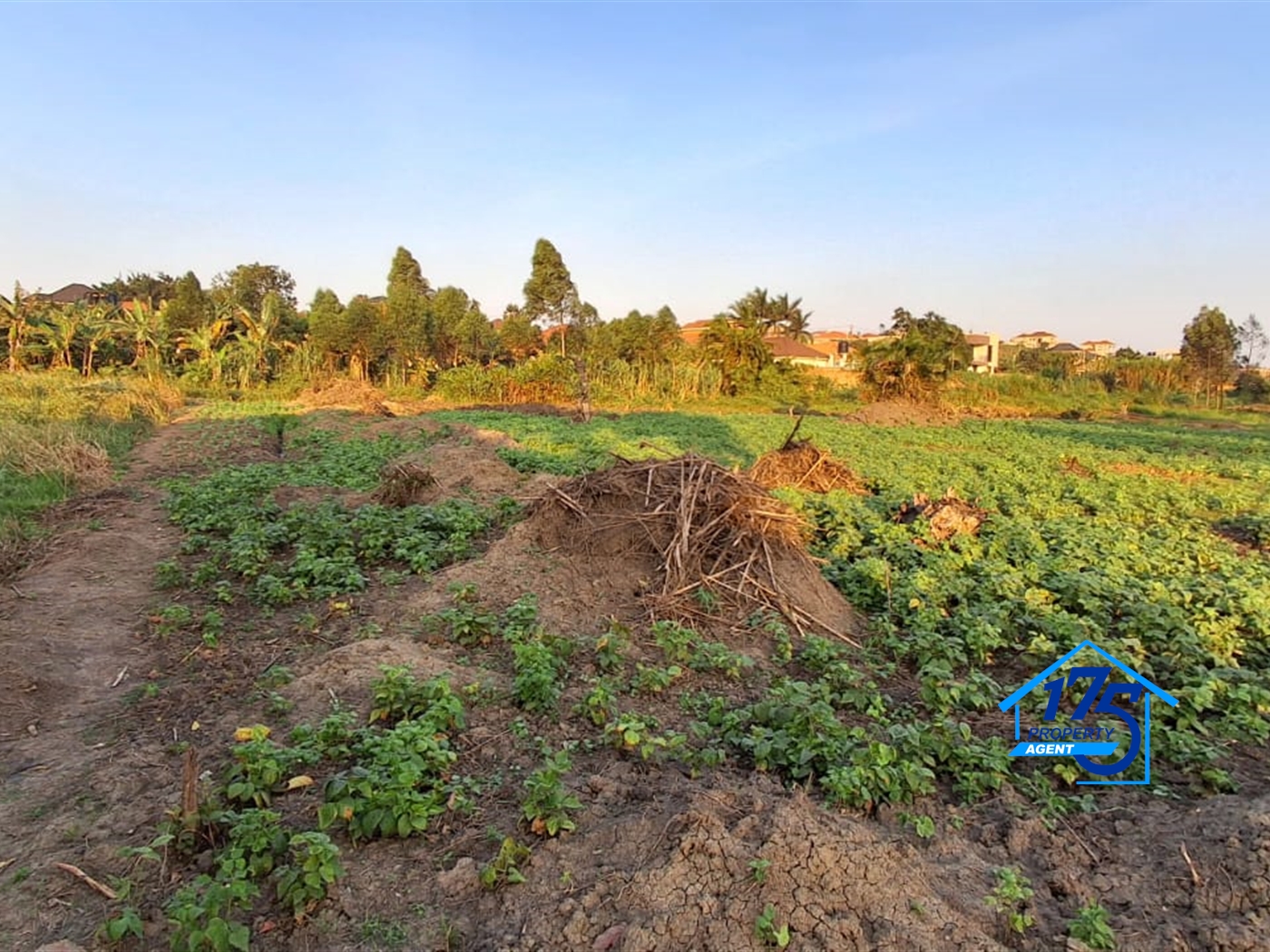 Residential Land for sale in Kira Wakiso