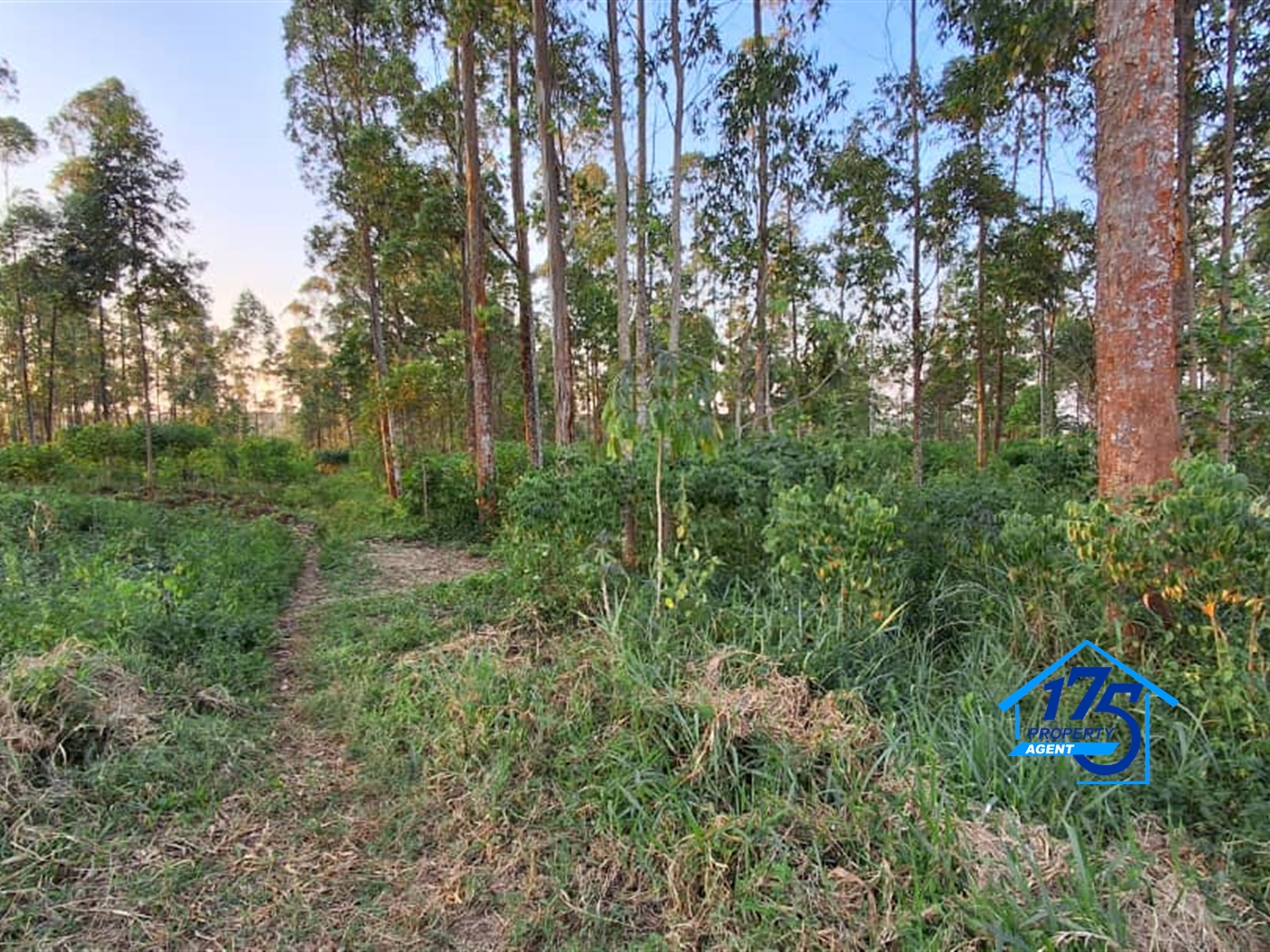 Residential Land for sale in Nkokonjeru Mukono